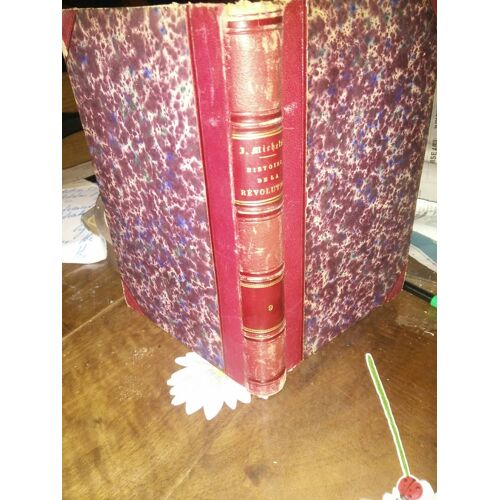Histoire De La Révolution Française Par J. Michelet. Tome Neuvième. 9. Illustré Par Vierge