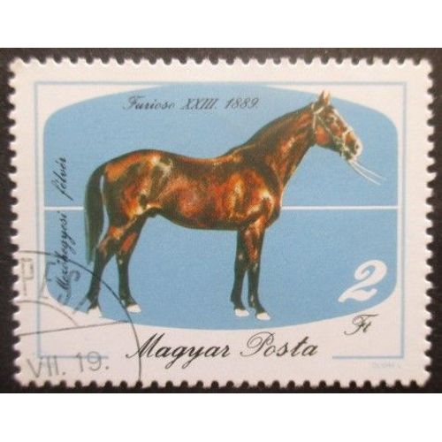Hongrie N°2989 Cheval Oblitéré