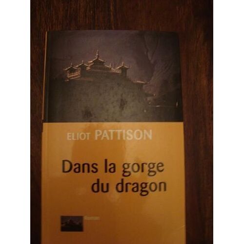 Dans La Gorge Du Dragon - Roman