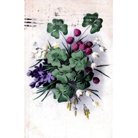Carte Postale Ancienne, Ukraine, Bouquet De Fleurs, Trèfle À 4 Feuilles