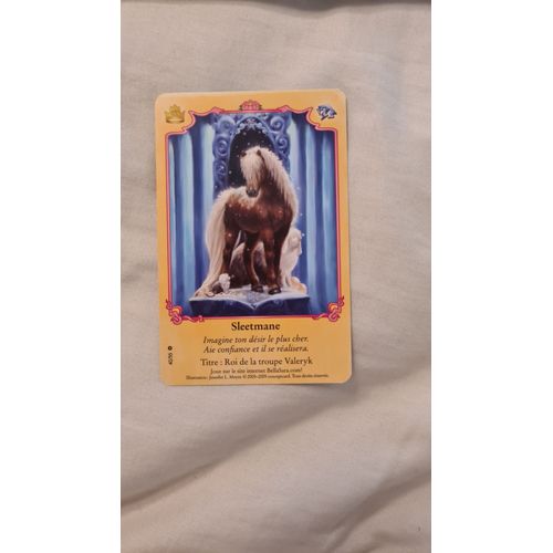 Carte Bella Sara Sleetmane 40/55