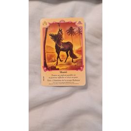 Carte Bella Sara Shanti 38/55
