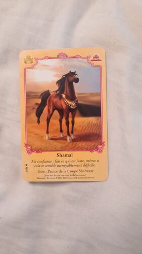 Carte Bella Sara Shamal 37/55