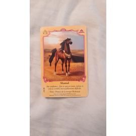 Carte Bella Sara Shamal 37/55