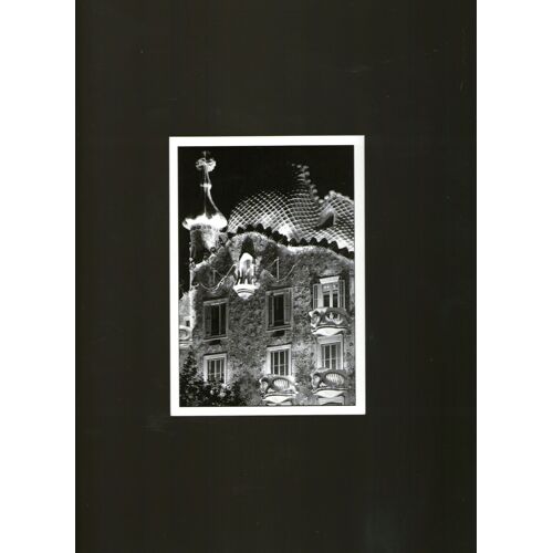Carte Postale : Barcelona Casa Batllo, Photography By Joan Morejon Balta