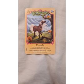 Carte Bella Sara Donnecha 13/55