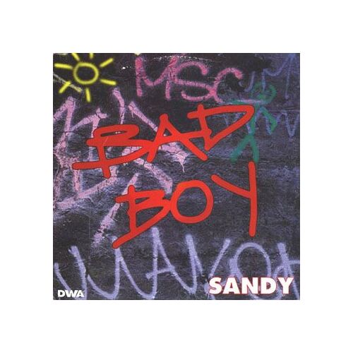 Bad Boy