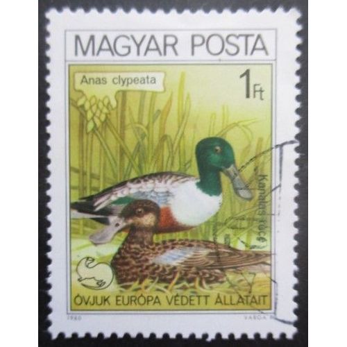 Hongrie N°2738 Canard Oblitéré