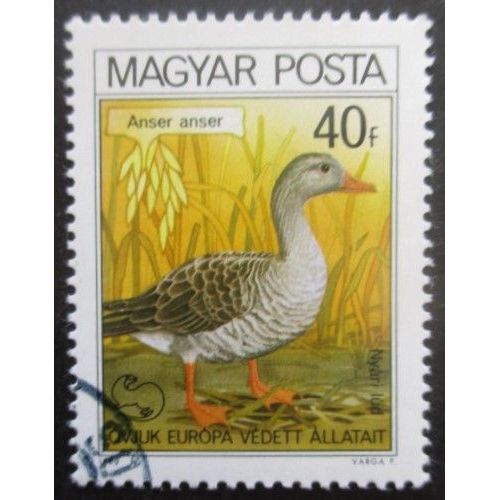 Hongrie N°2736 Canard Oblitéré