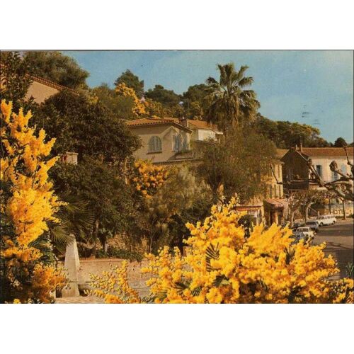 Carte Postale Bormes Les Mimosas Var 83 Cote D¿Azur