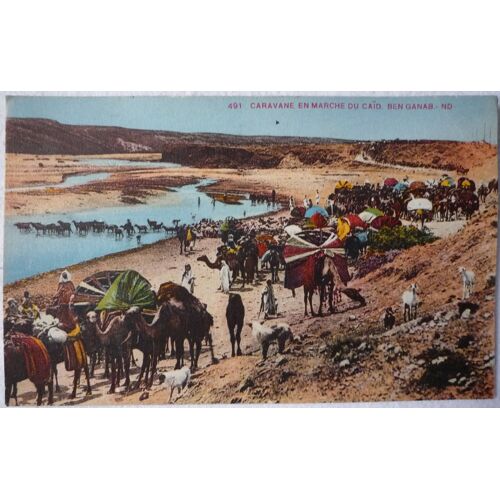 Caravane En Marche Du Caïd Ben Ganab