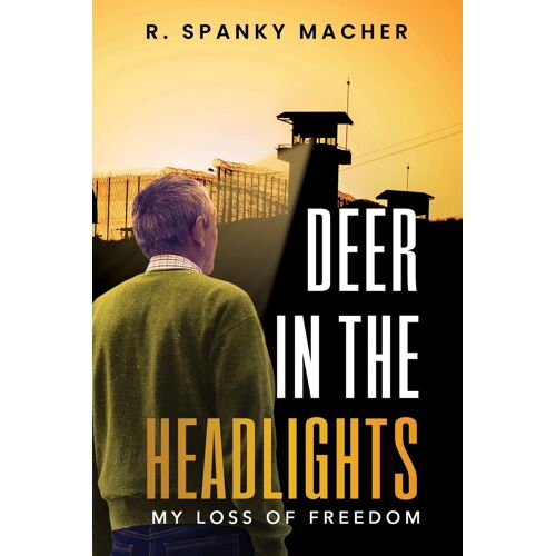 A Deer In The Headlights