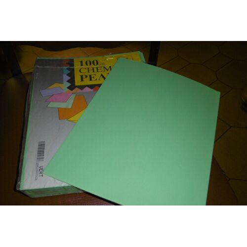 Chemises Cartonnées Simples 160grs Peau D'ane Lot De 100 Vertes 24x32cm Rainex