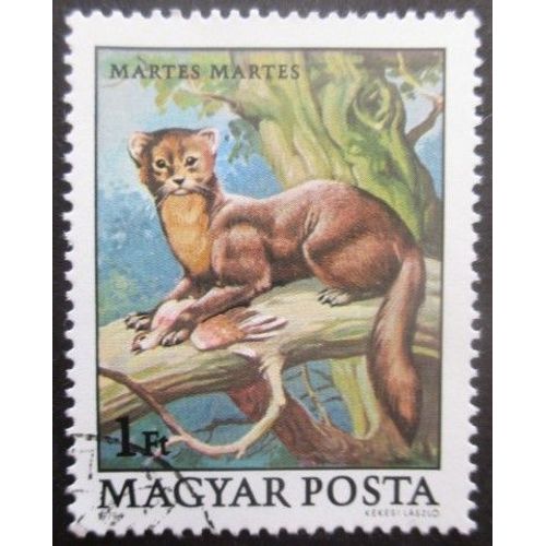 Hongrie N°2692 Martre Oblitéré