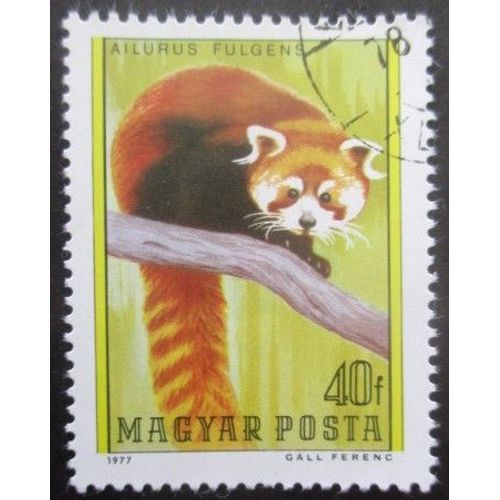 Hongrie N°2587 Petit Panda Oblitéré