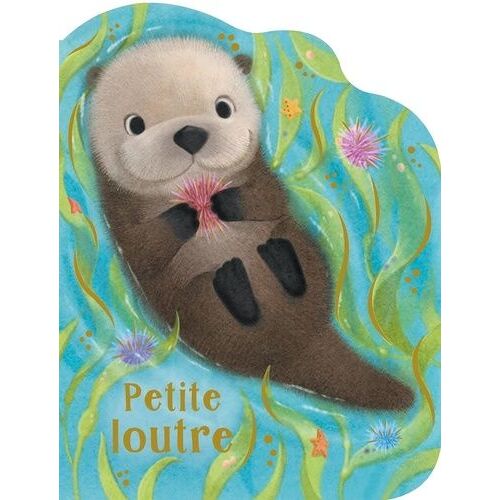 Petite Loutre