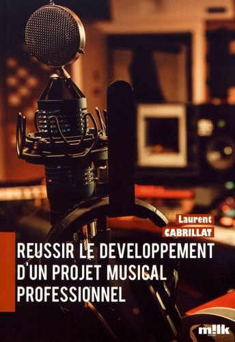 Réussir Le Développement D'un Projet Musical Professionnel