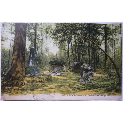 Bois De Meudon L'arbre De La Vierge