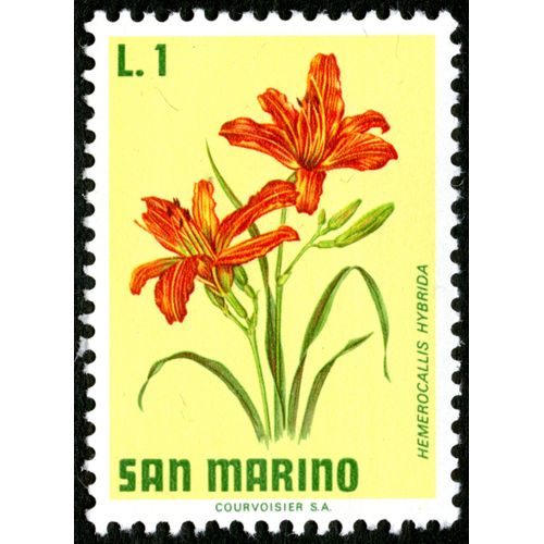 Timbre San Marino, Hemerocallis Hybrida, L. 1