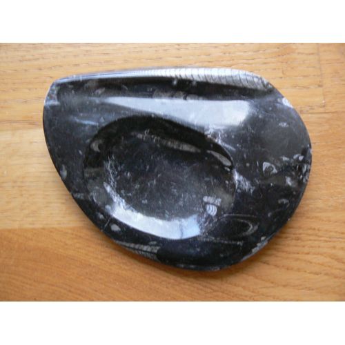 Fossiles D'orthocères. Objet De Décoration, Cendrier