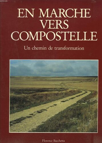 En Marche Ver Compostelle : Un Chemin De Transformation
