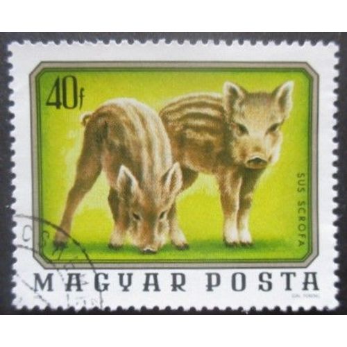 Hongrie N°2480 Marcassins Oblitéré