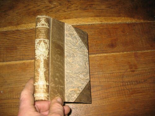 Amedee Rouques Le Jeune  Rouvre  2 Edition  Ollendorff