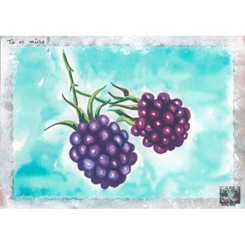 Aquarelle Originale Fruit Les Mûres Mûre Fruit  Blackberry Nm65