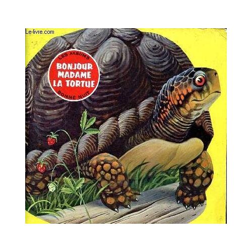 Bonjour, Madame La Tortue!
