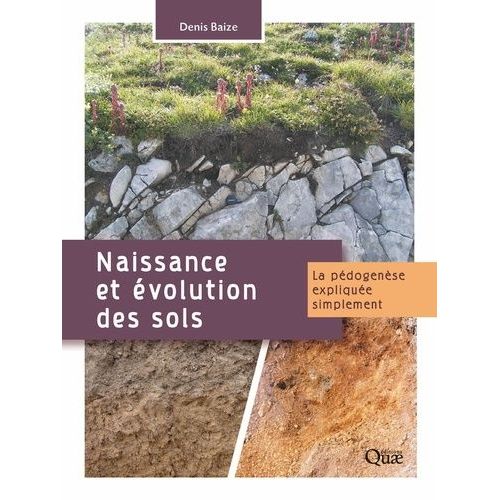 Naissance Et Évolution Des Sols - La Pédogenèse Expliquée Simplement