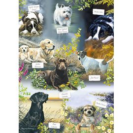Man's Best Friend - Puzzle 1000 Pièces
