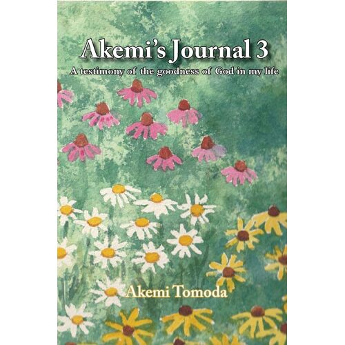 Akemi's Journal 3