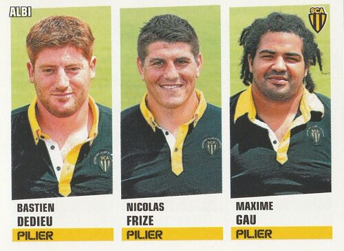 Image Panini N° 265 Rugby 2013 / 2014 Albi