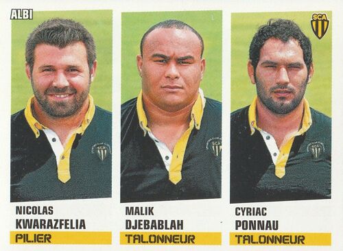 Image Panini N° 266 Rugby 2013 / 2014 Albi