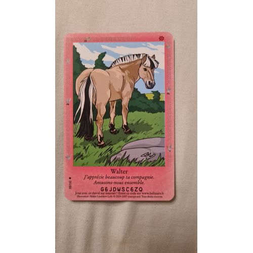 Carte Bella Sara Walter 55/110