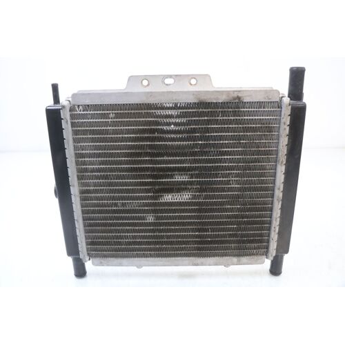 Radiateur Peugeot Geopolis Rs 125 2007 - 2009 / 198820