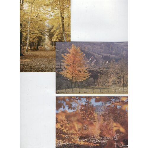 Lot De 4 Cartes Postales De Sous Bois