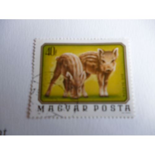 Timbre "Magyar Posta :Marcassins".