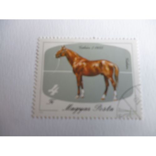 Timbre "Magyar Posta :Cheval Gidran Ier 1935."1983