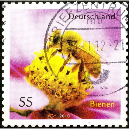 Timbre Oblitéré Deutschland, Bienen, 2010, 55