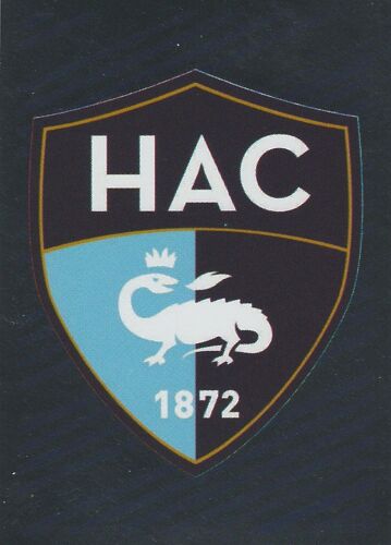 Image N° 501 Foot 2014 Logo Le Havre