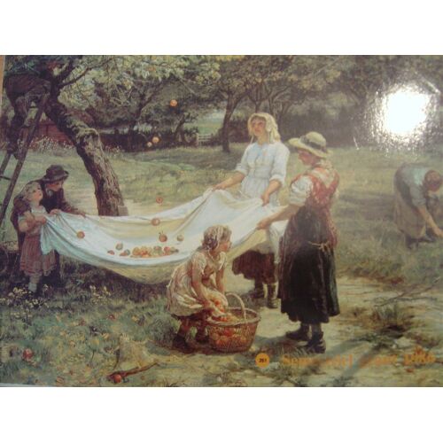 Almanach Des P.T.T.  1986