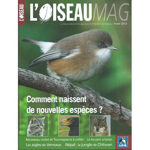 L'oiseau Magazine N° 113 - Comment Naissent De Nouvelles Espèces ?