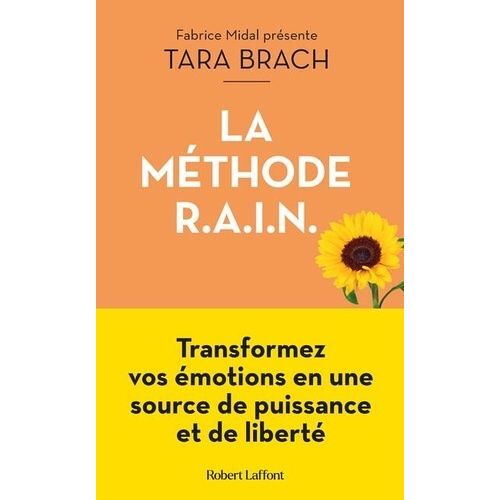 La Méthode R.A.I.N - Transformez Vos Émotions En Une Source De Puissance Et De Liberté