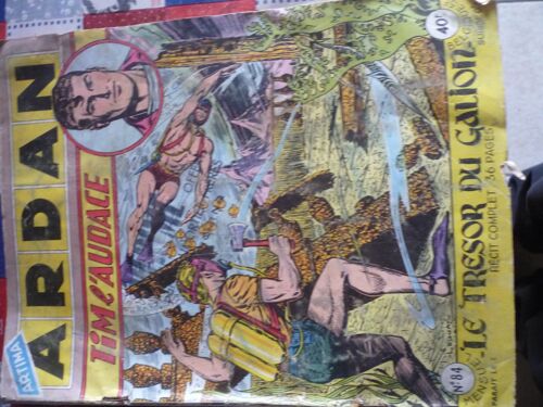 Ardan Tim L'audace N°84