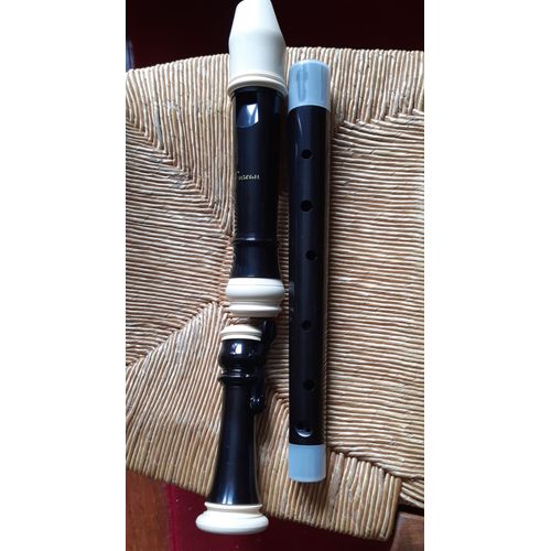 Flute À Ténor Aulos 311