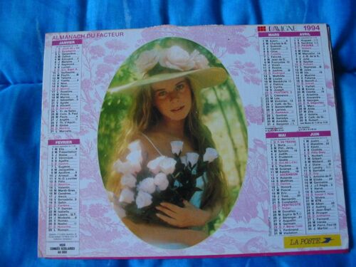 Almanach Du Facteur Calendrier  Lavigne 1994 Charentes Portraits De Jeune Fille En  Flou Artistique (Style D. Hamilton)