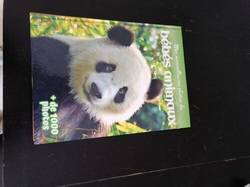 Mes Merveilleuses Photos De Bebes Animaux