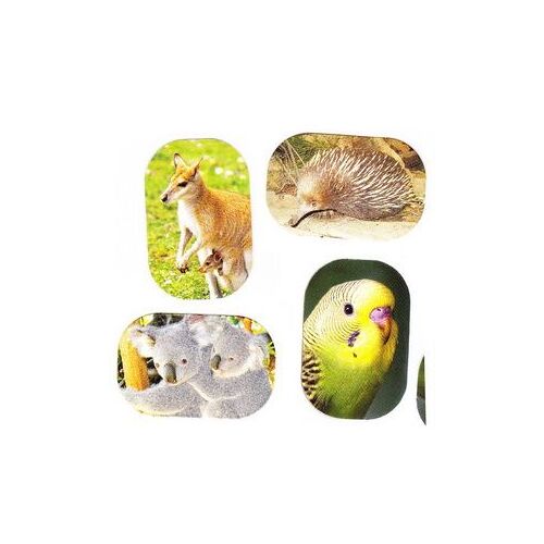 Kinder Autocollants Animaux - Réf. Ft017