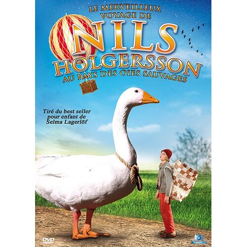 Le Merveilleux Voyage De Nils Holgersson Au Pays Des Oies Sauvages